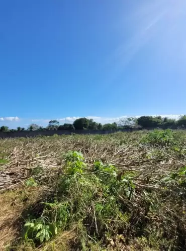 Imóvel em Encantada