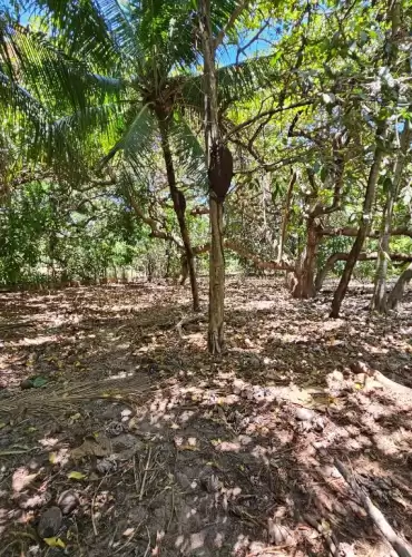 Imóvel em Lagoa Redonda