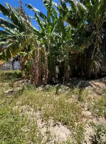 Imóvel em Cidade dos Funcionários