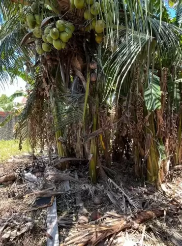 Imóvel em Cidade dos Funcionários