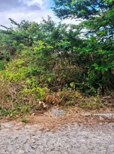 Imóvel em Parque Dom Pedro