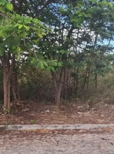 Imóvel em Parque Dom Pedro