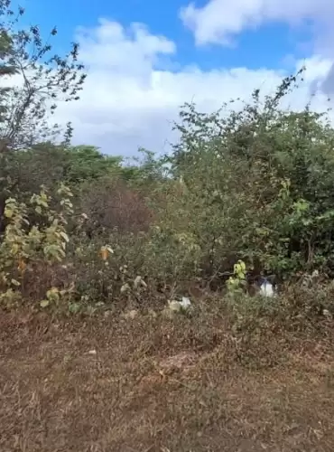 Imóvel em Parque Dom Pedro